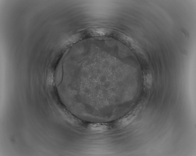 X0000111000331200906261504