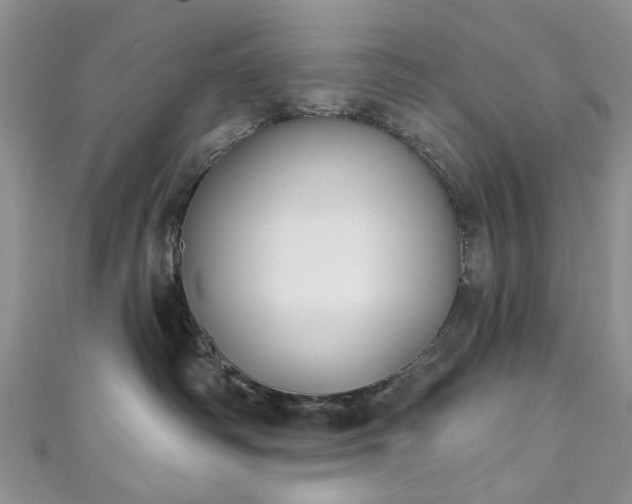 X0000111000334200906261504