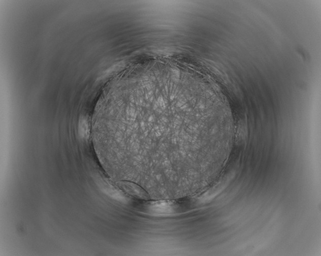 X0000111000335200906261504