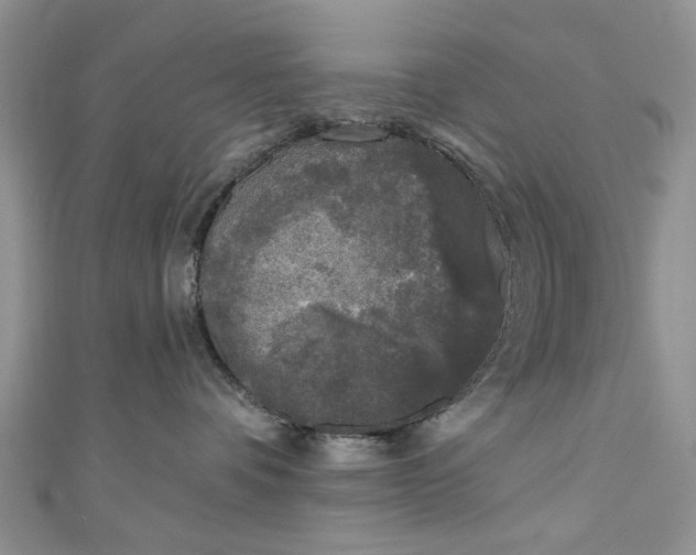 X0000111000336200906261504