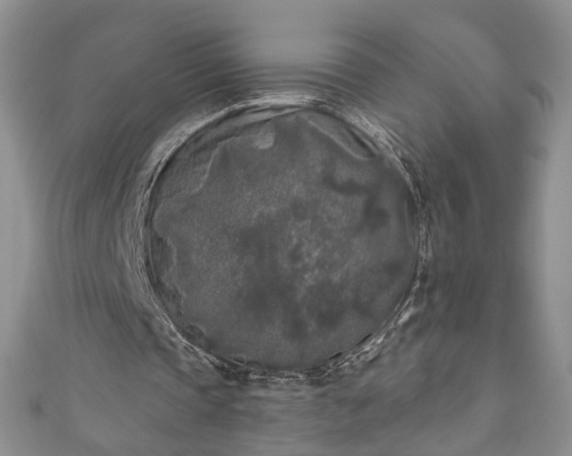 X0000111000337200906261503