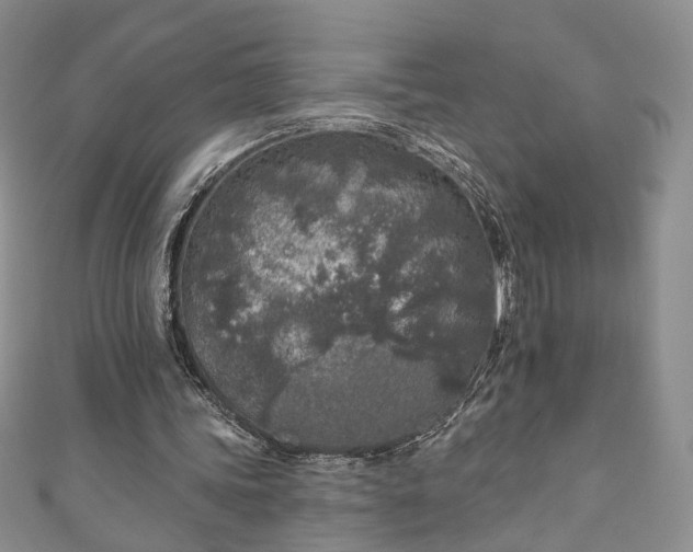 X0000111000339200906261503