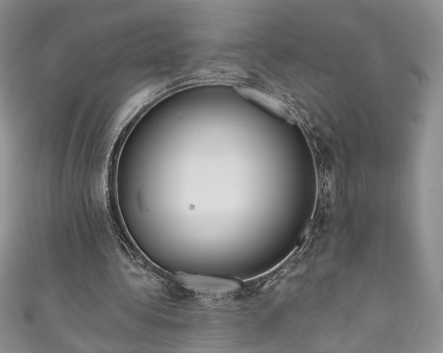 X0000111000340200906261503