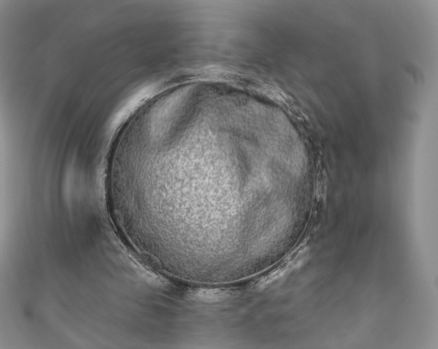 X0000111000341200906261503