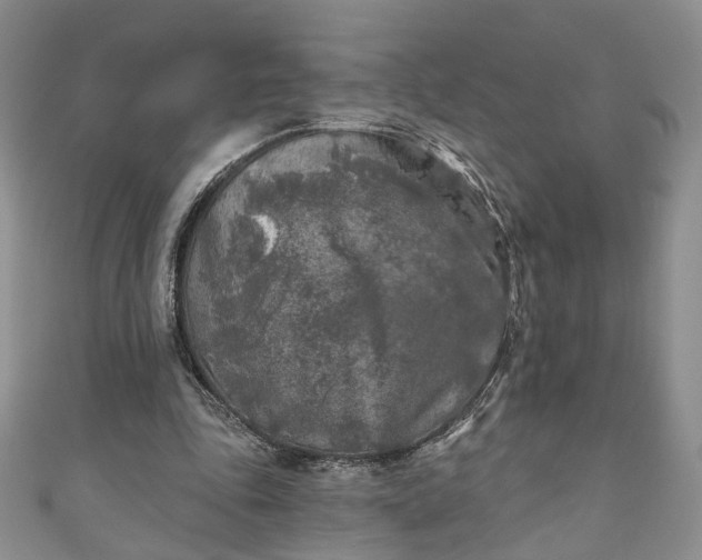 X0000111000343200906261503