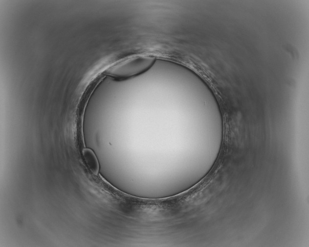 X0000111000344200906261503