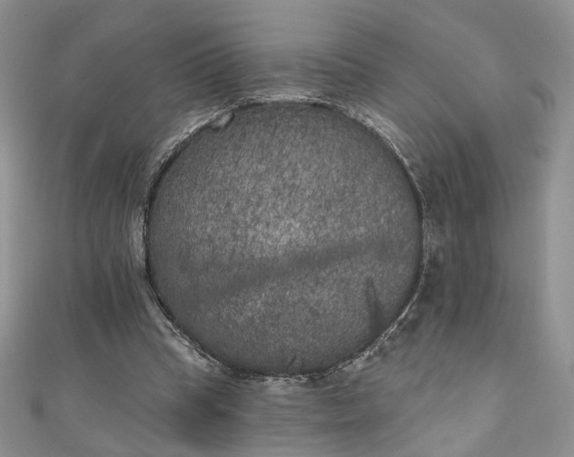 X0000111000345200906261503