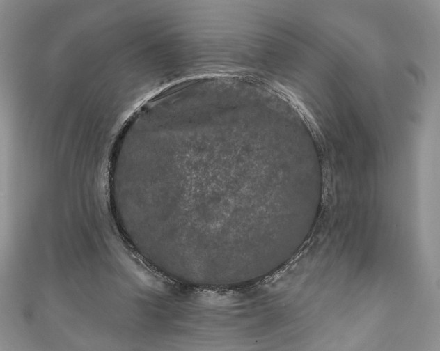 X0000111000346200906261503