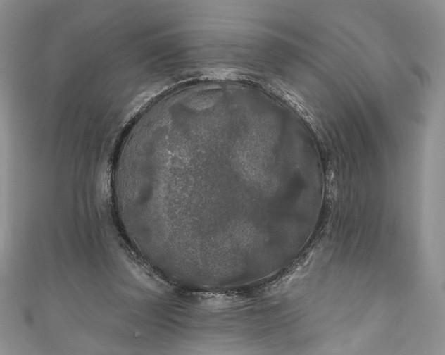 X0000111000347200906261503