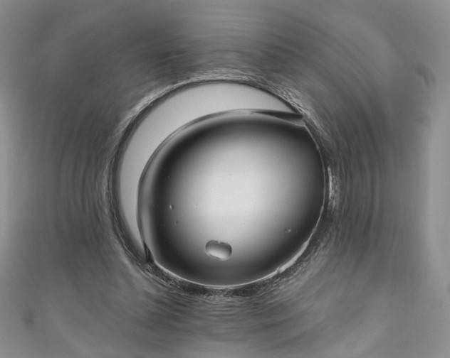 X0000111000348200906261503