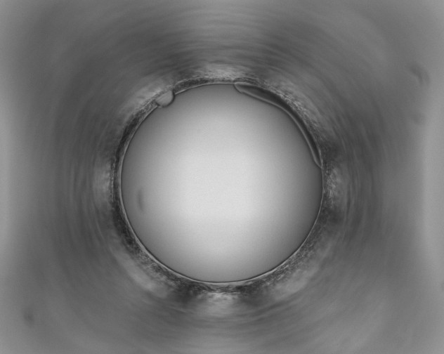 X0000111000352200906261503