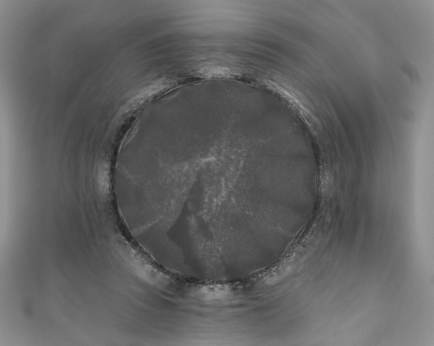 X0000111000353200906261503