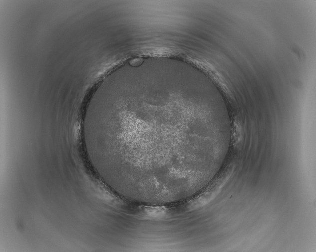 X0000111000355200906261503