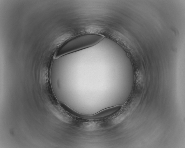 X0000111000356200906261503