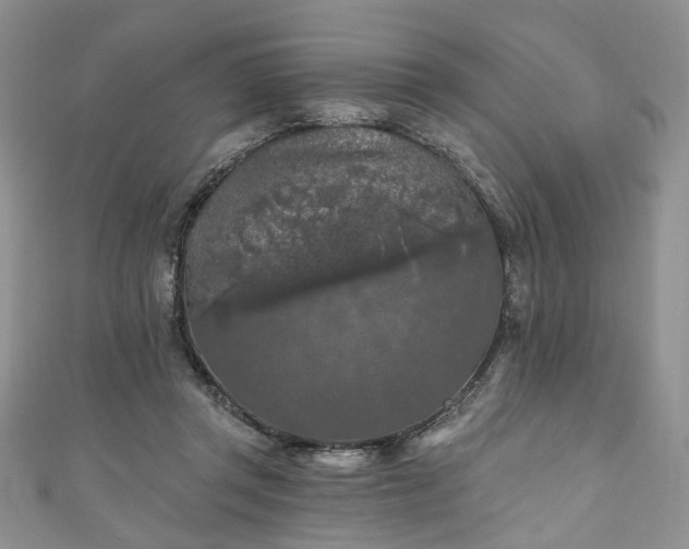 X0000111000357200906261503