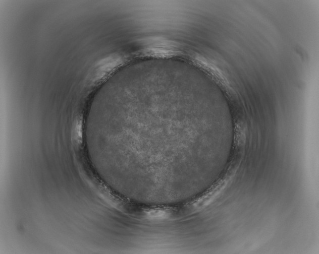 X0000111000358200906261503