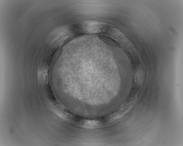 X0000111000360200906261503