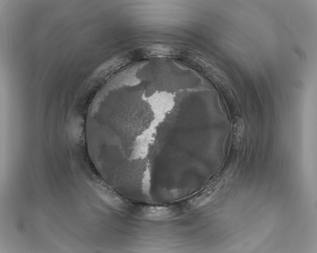 X0000111000361200906261504