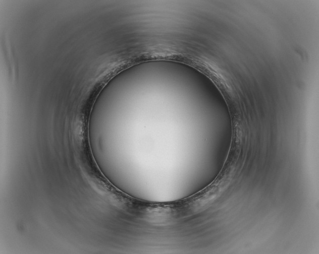 X0000111000362200906261504