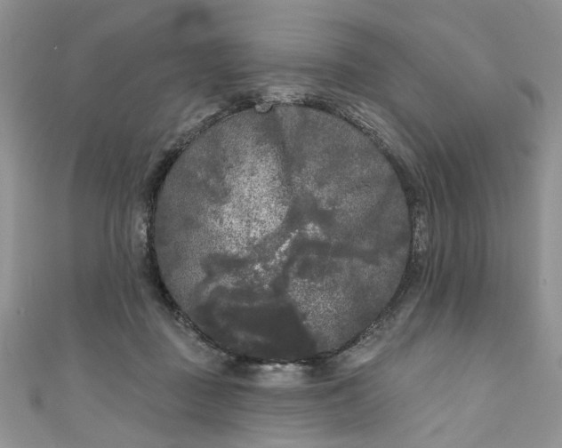 X0000111000363200906261504