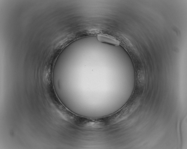 X0000111000364200906261504