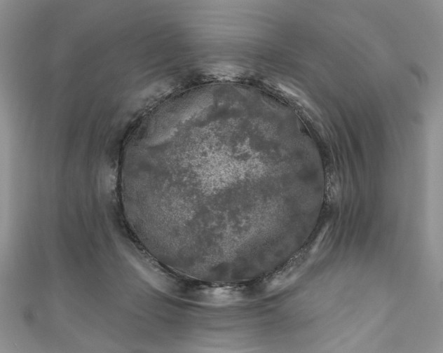 X0000111000365200906261504