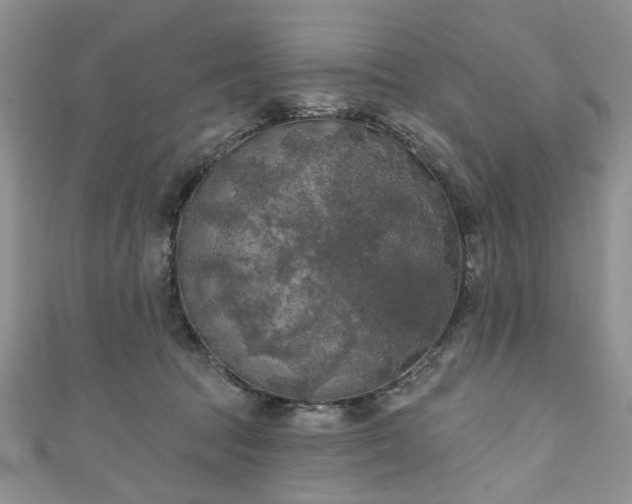 X0000111000369200906261504