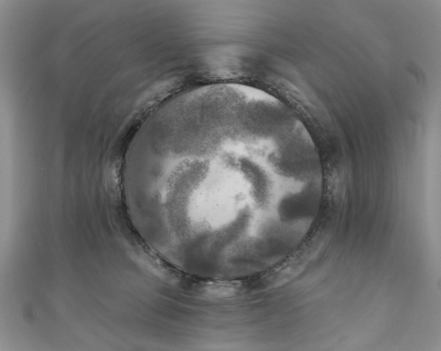 X0000111000373200906261504