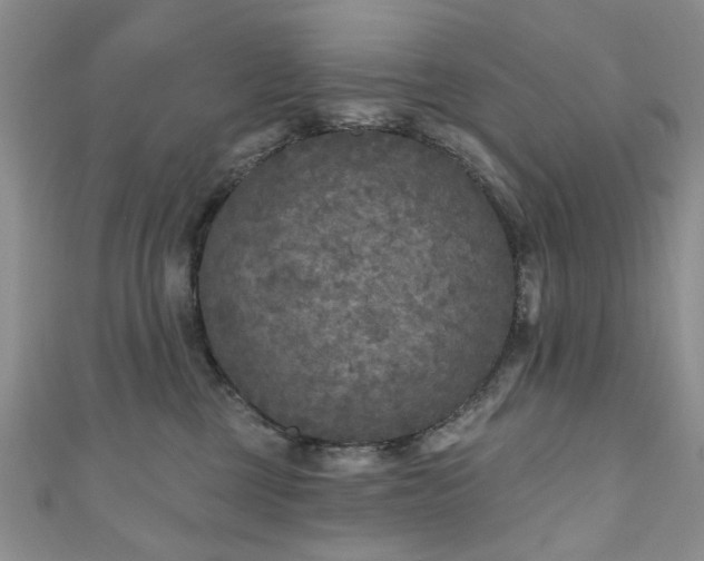 X0000111000377200906261504