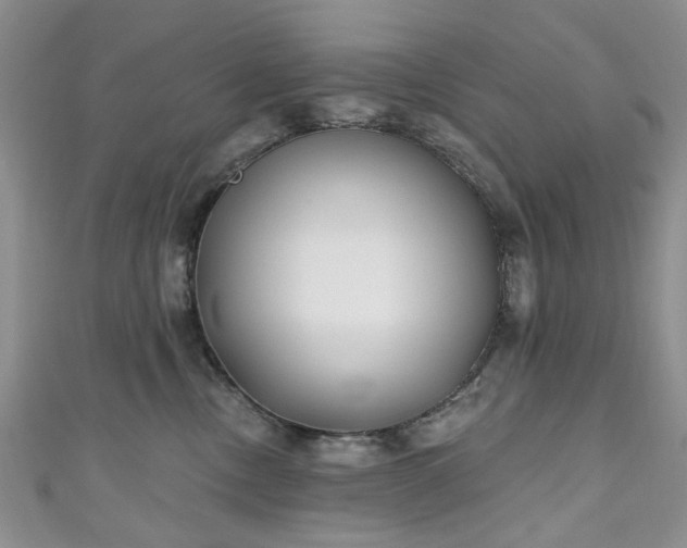 X0000111000378200906261504