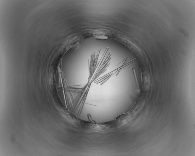 X0000111000379200906261504