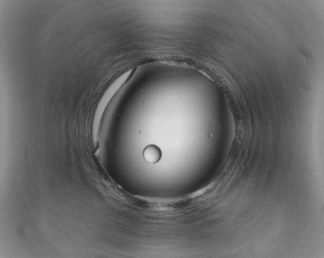 X0000111000380200906261504