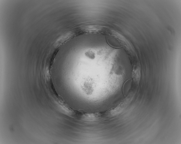 X0000111000381200906261504