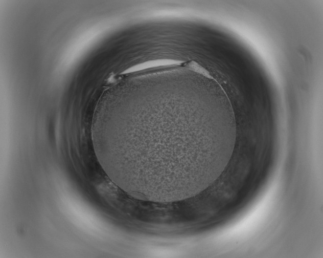 X0000111000382200906261504