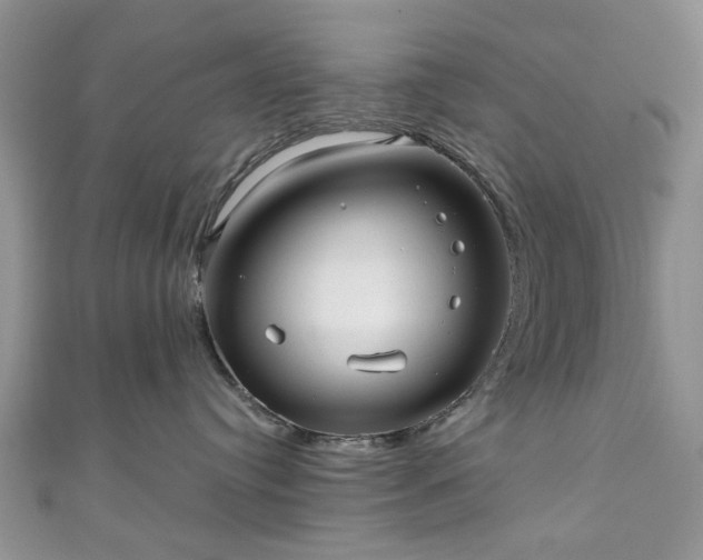 X0000111000384200906261504