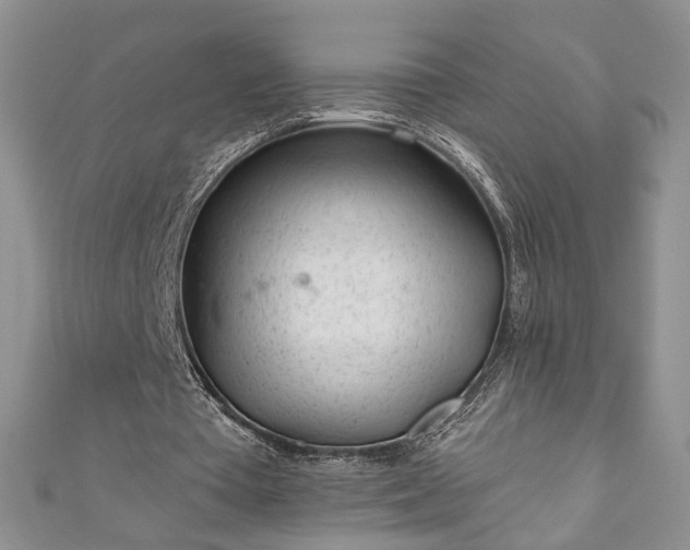 X0000111000385200906261503