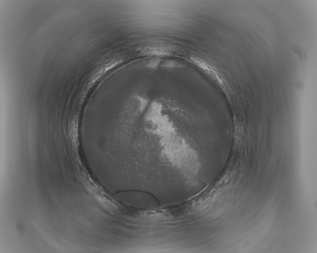 X0000111000386200906261503