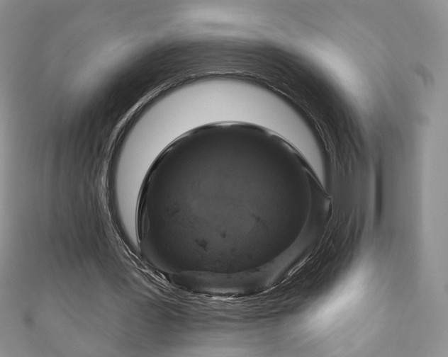 X0000111000387200906261503