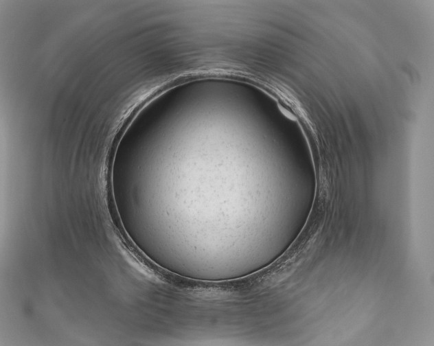 X0000111000389200906261503