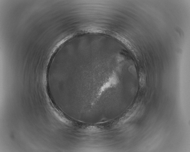 X0000111000390200906261503