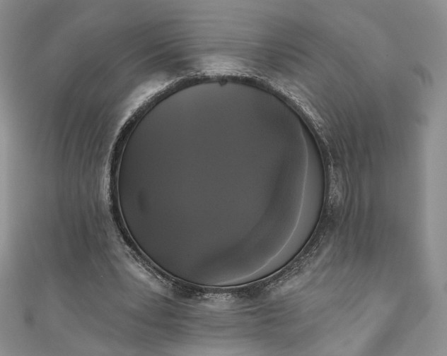 X0000111000391200906261503