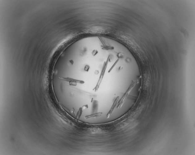 X0000111000392200906261503
