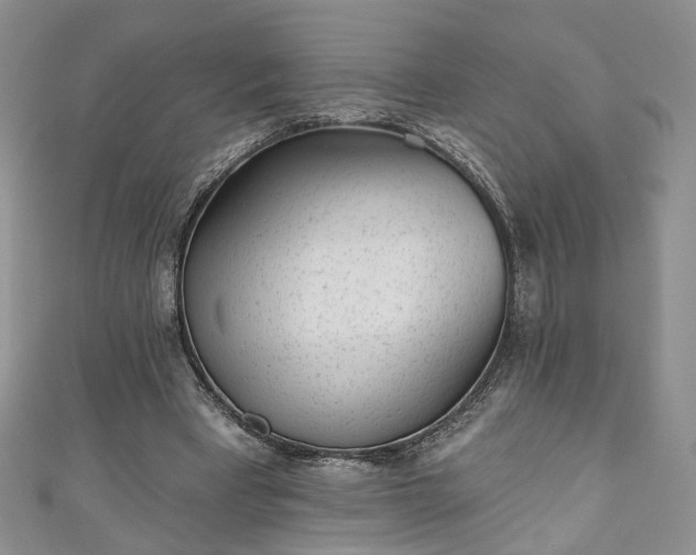 X0000111000393200906261503