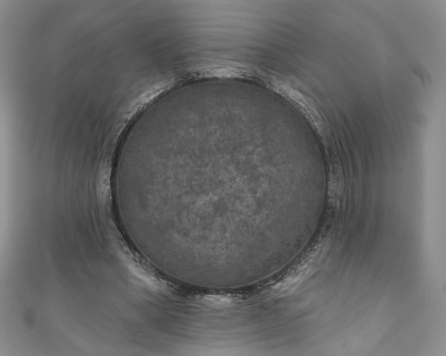 X0000111000394200906261503