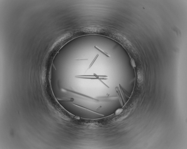 X0000111000396200906261503