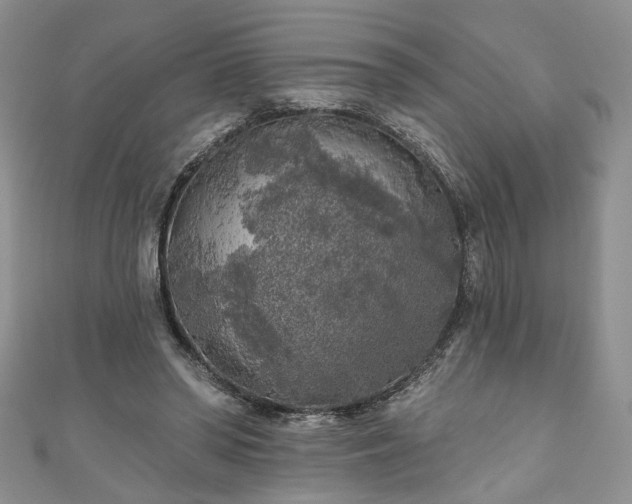 X0000111000398200906261503