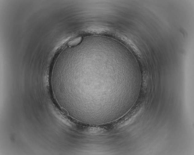 X0000111000399200906261503