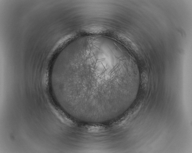X0000111000400200906261503
