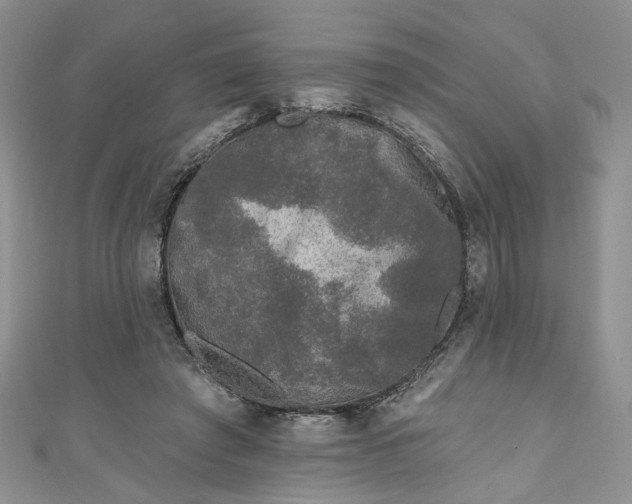 X0000111000401200906261503