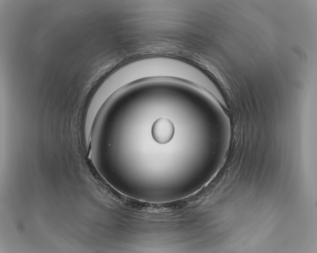 X0000111000403200906261503